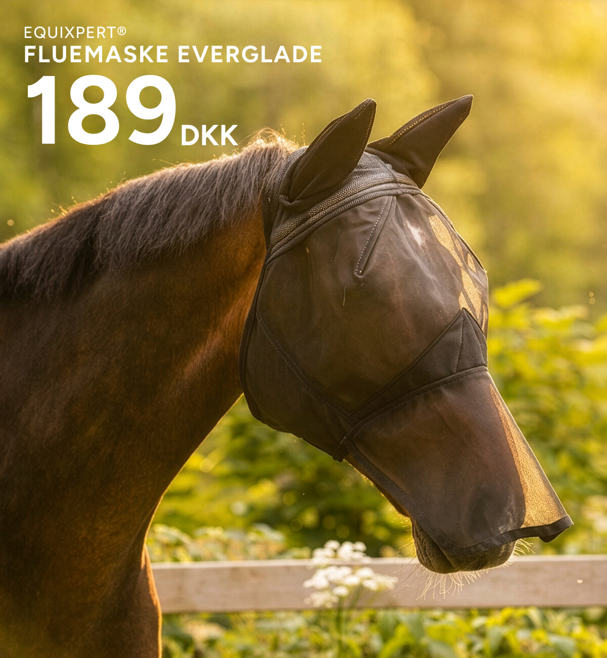 everglade
