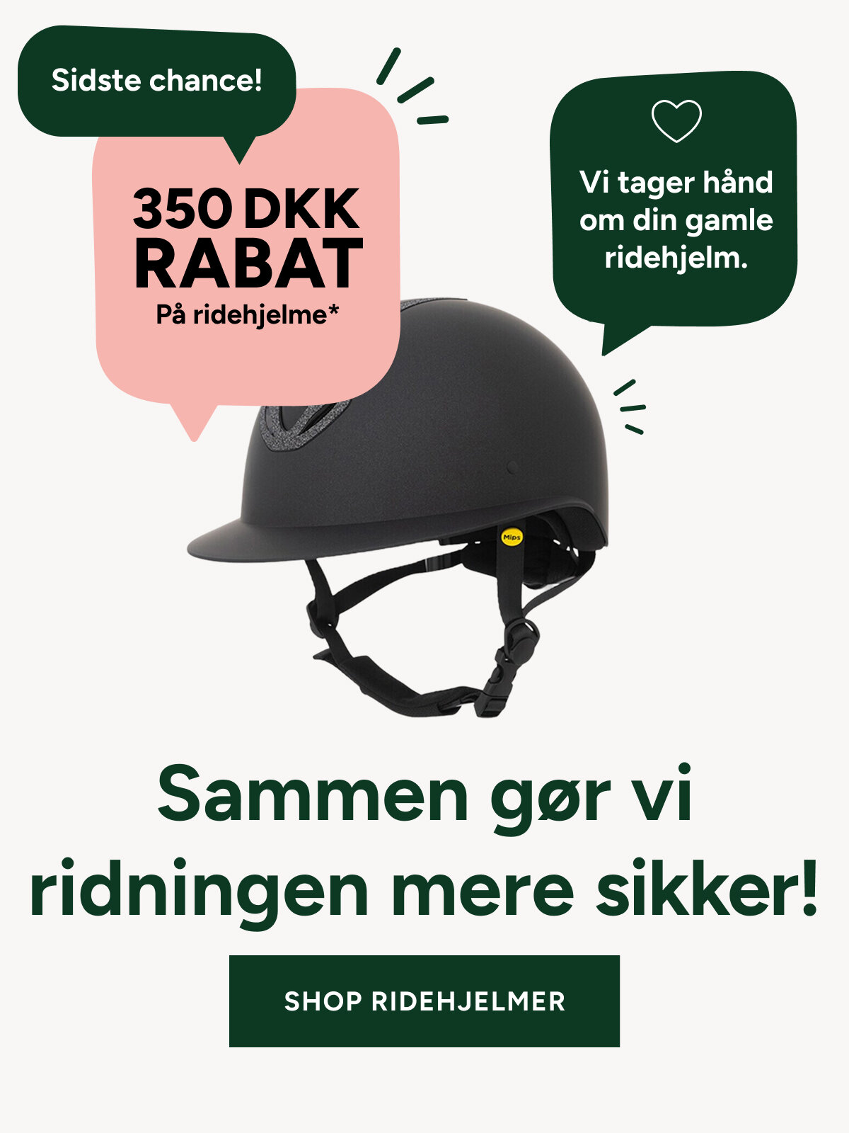 campaigne