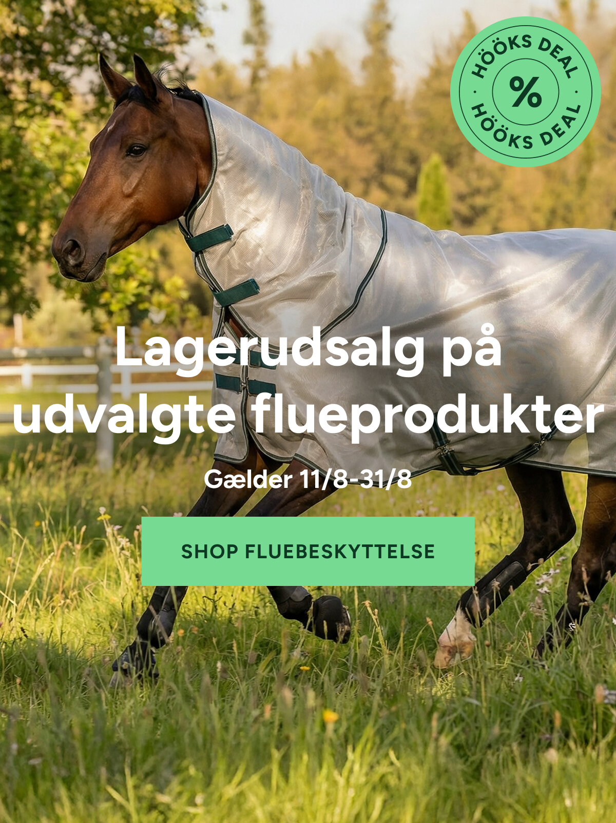 Fly_protection