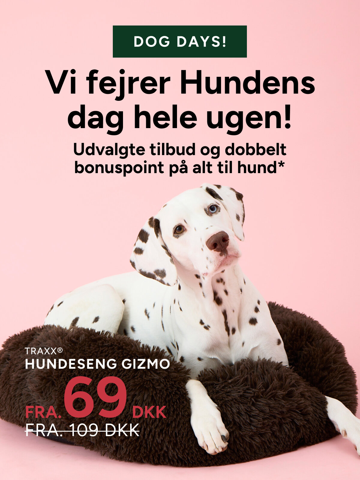 dog deals
