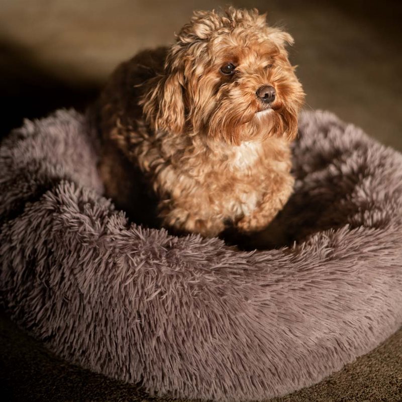 Hundeseng Gizmo traxx® Beige