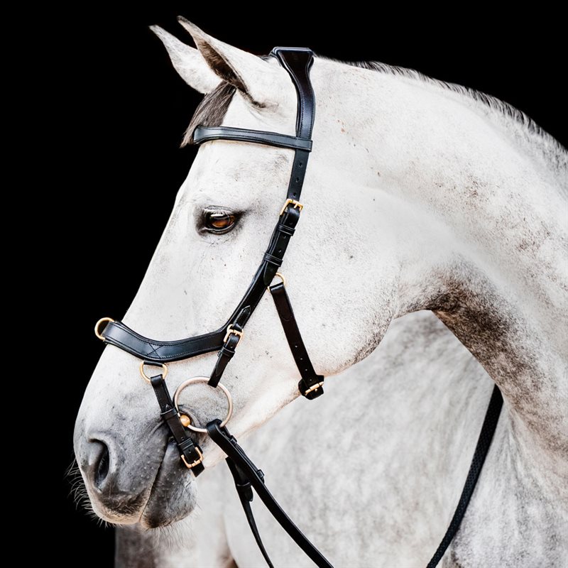 Trense Micklem Multibridle Horseware® Sort