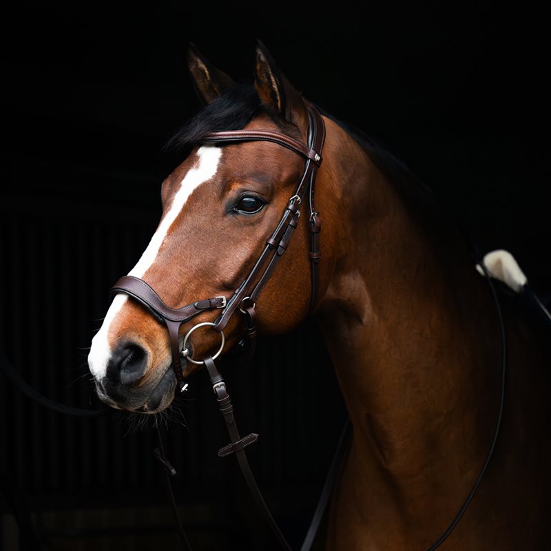 Trense Derby Fairfield® Mørkebrun