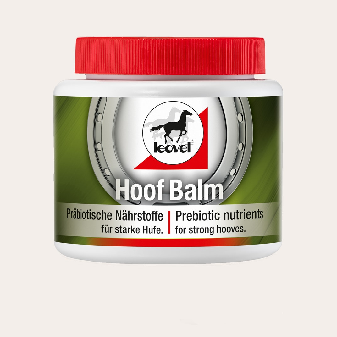 Hoof Balm Prebiotic 450 ml leovet®