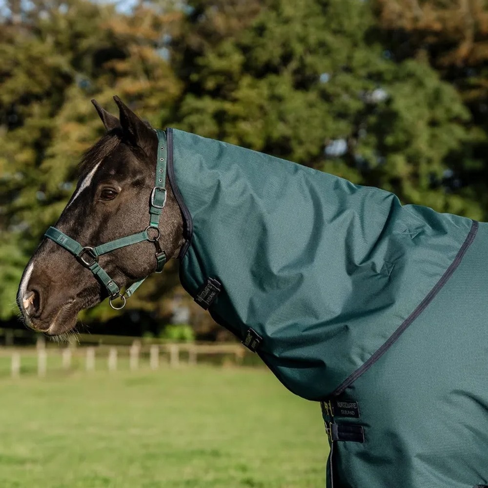 Dækken Amigo Ripstop 900D Plus Turnout 200g Horseware®