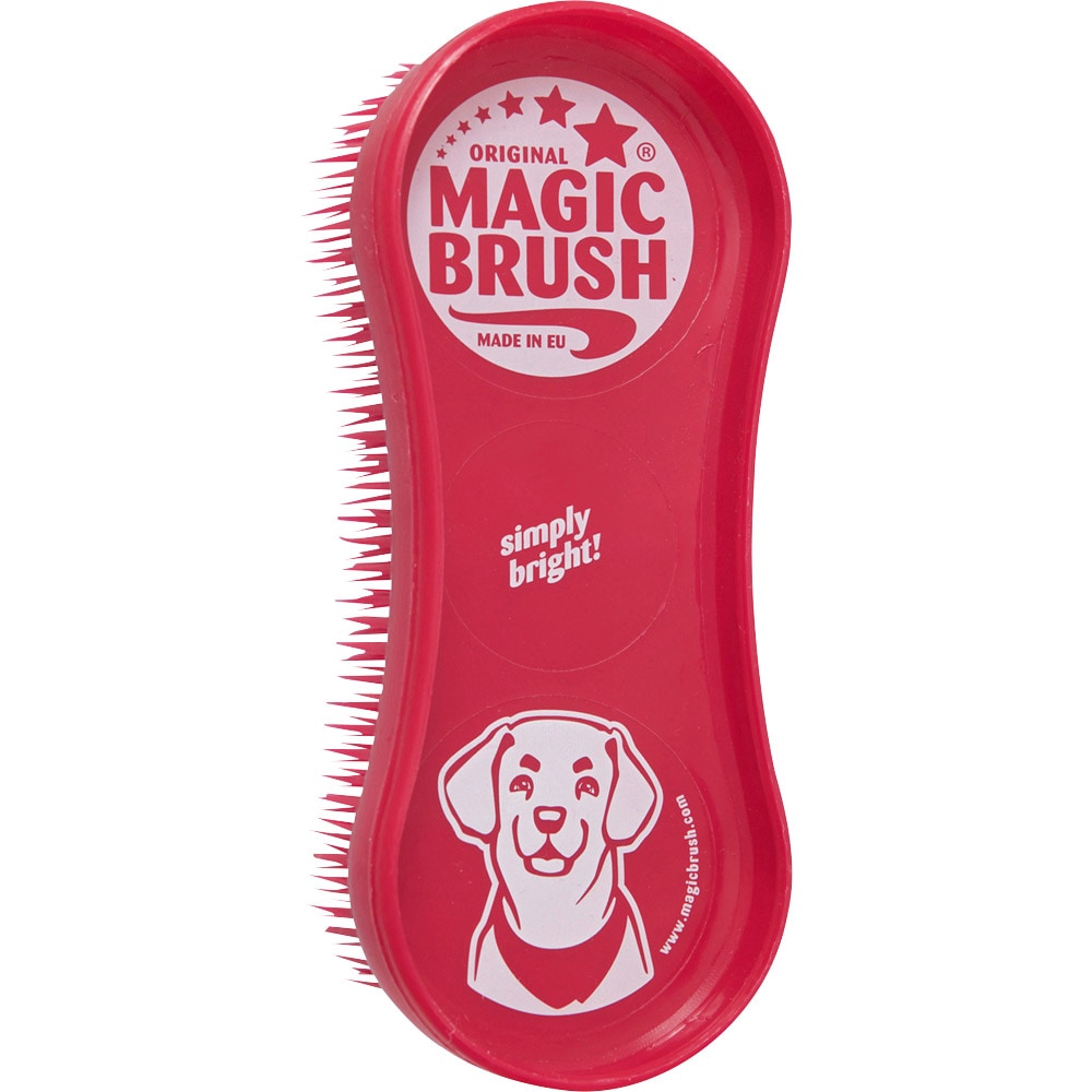 geni krone løn Plastikstrigle Hunde Magic Brush - Hööks