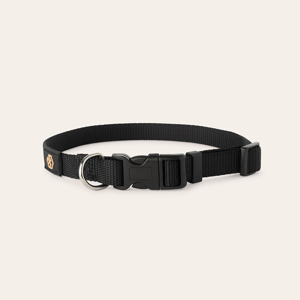 Halsbånd Hunde Colour 2.0 traxx®