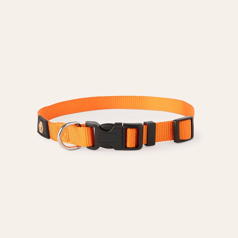 Halsbånd Hunde Colour 2.0 traxx®