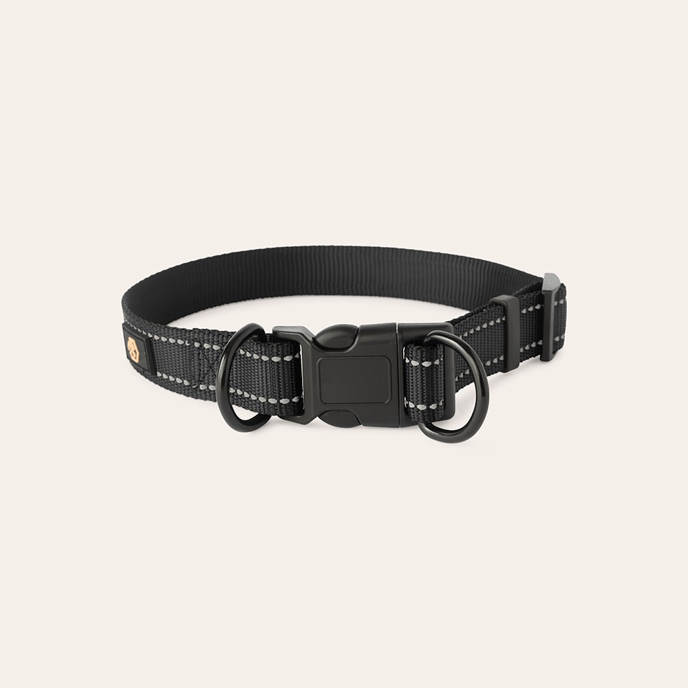 Halsbånd og line Hunde Traxx Base Multi 2.0 Halsband traxx®