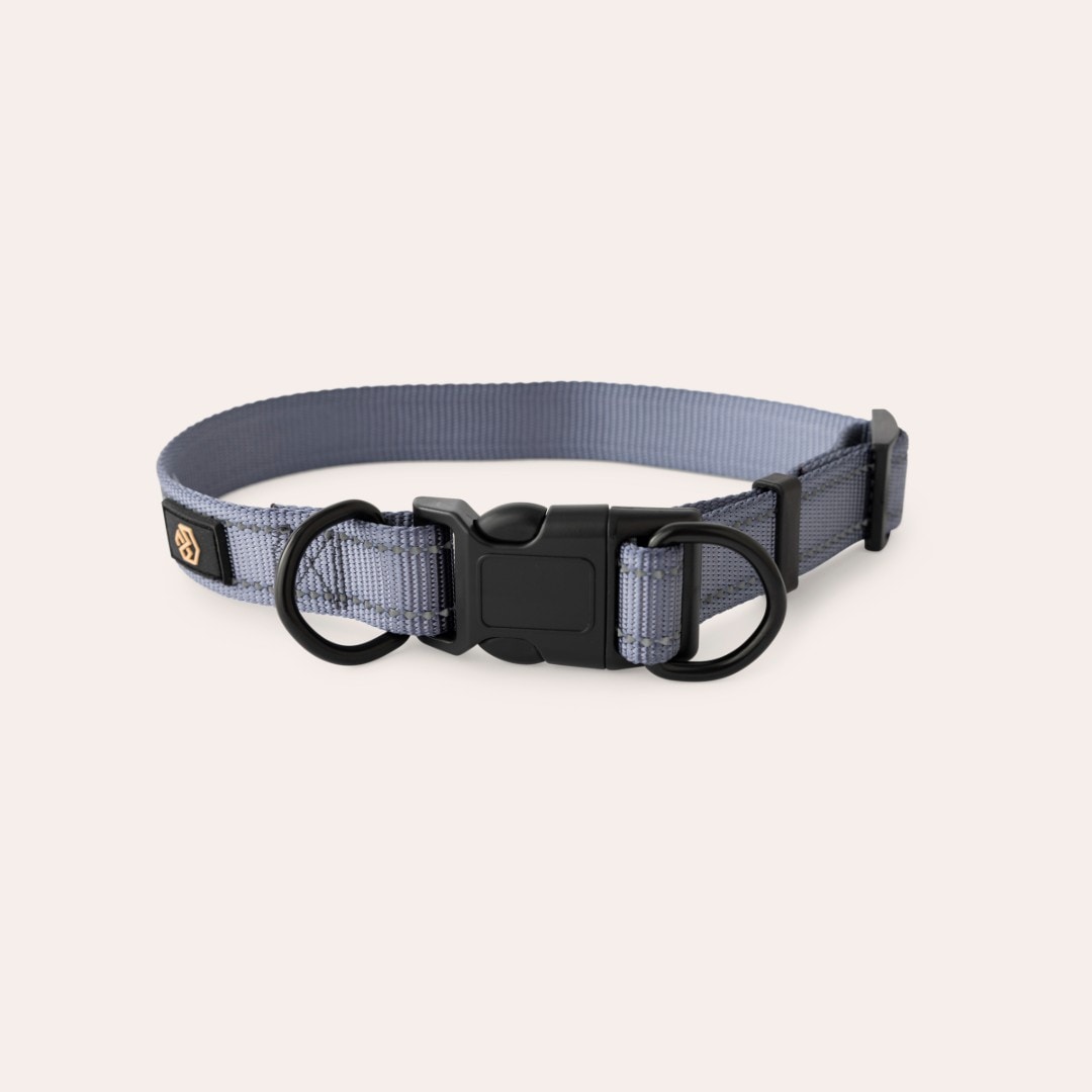 Halsbånd Hunde Base Multi 2.0 traxx®