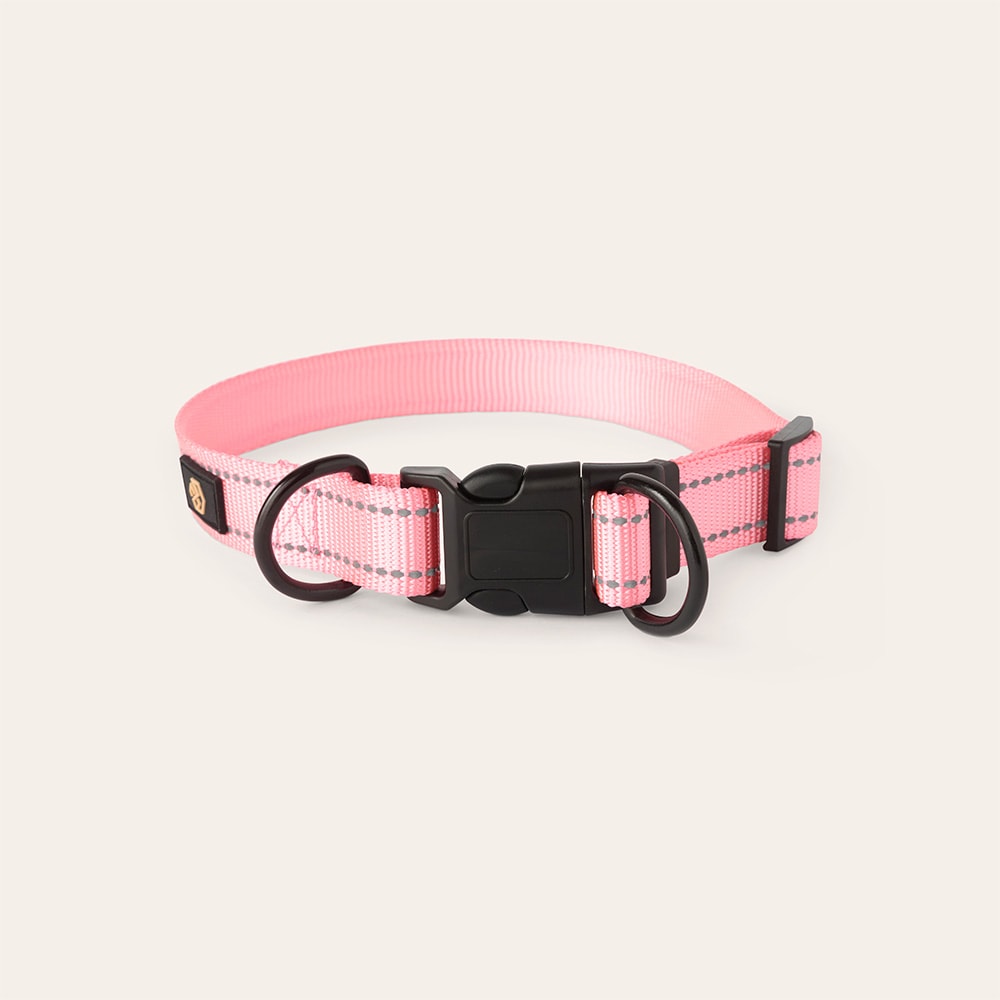 Halsbånd og line Hunde Traxx Base Multi 2.0 Halsband traxx®