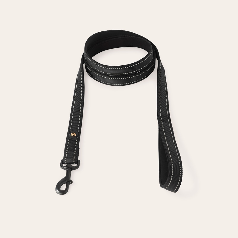 Halsbånd og line  Traxx Base Multi 2.0 Koppel traxx®