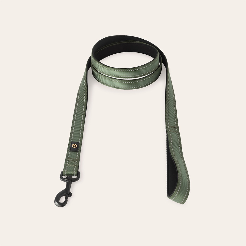 Halsbånd og line  Traxx Base Multi 2.0 Koppel traxx®