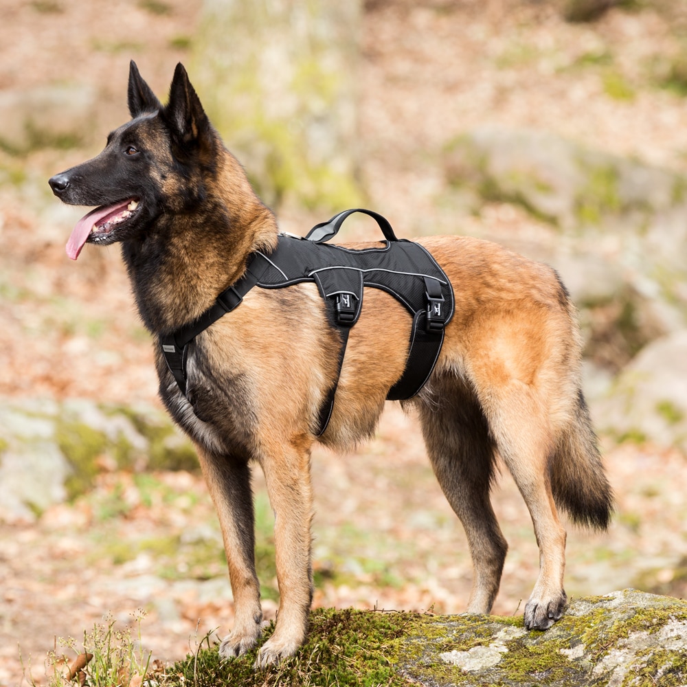 Hundesele  Trekking traxx®