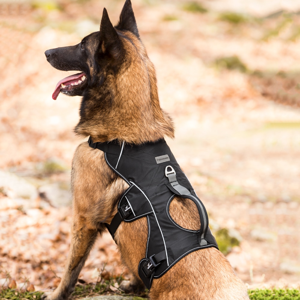 Hundesele  Trekking traxx®