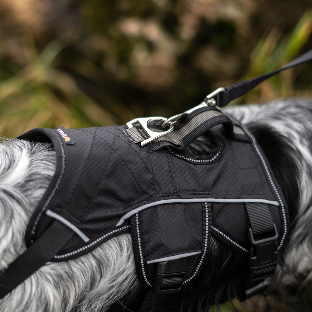 Hundesele  Trekking traxx®