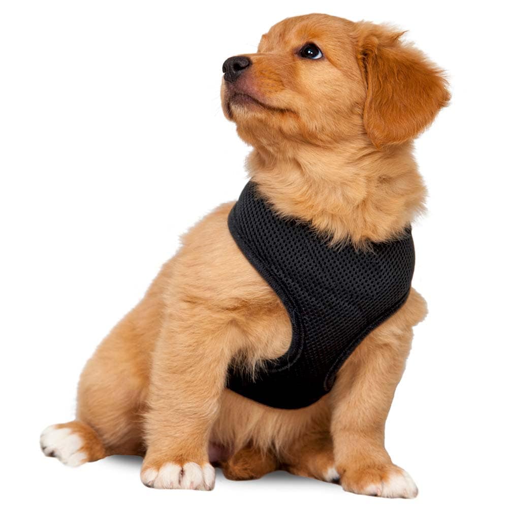 Hundesele  Puppy traxx®