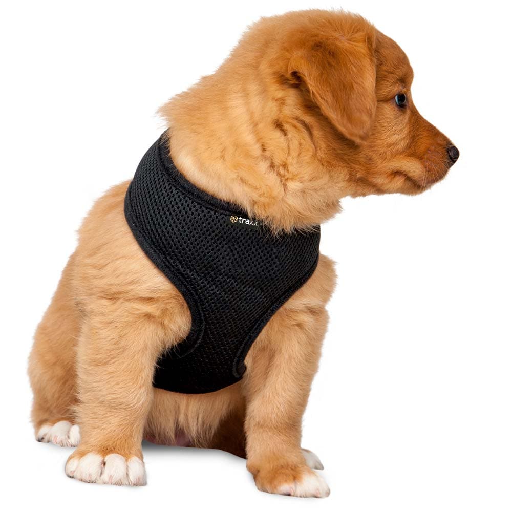Hundesele  Puppy traxx®