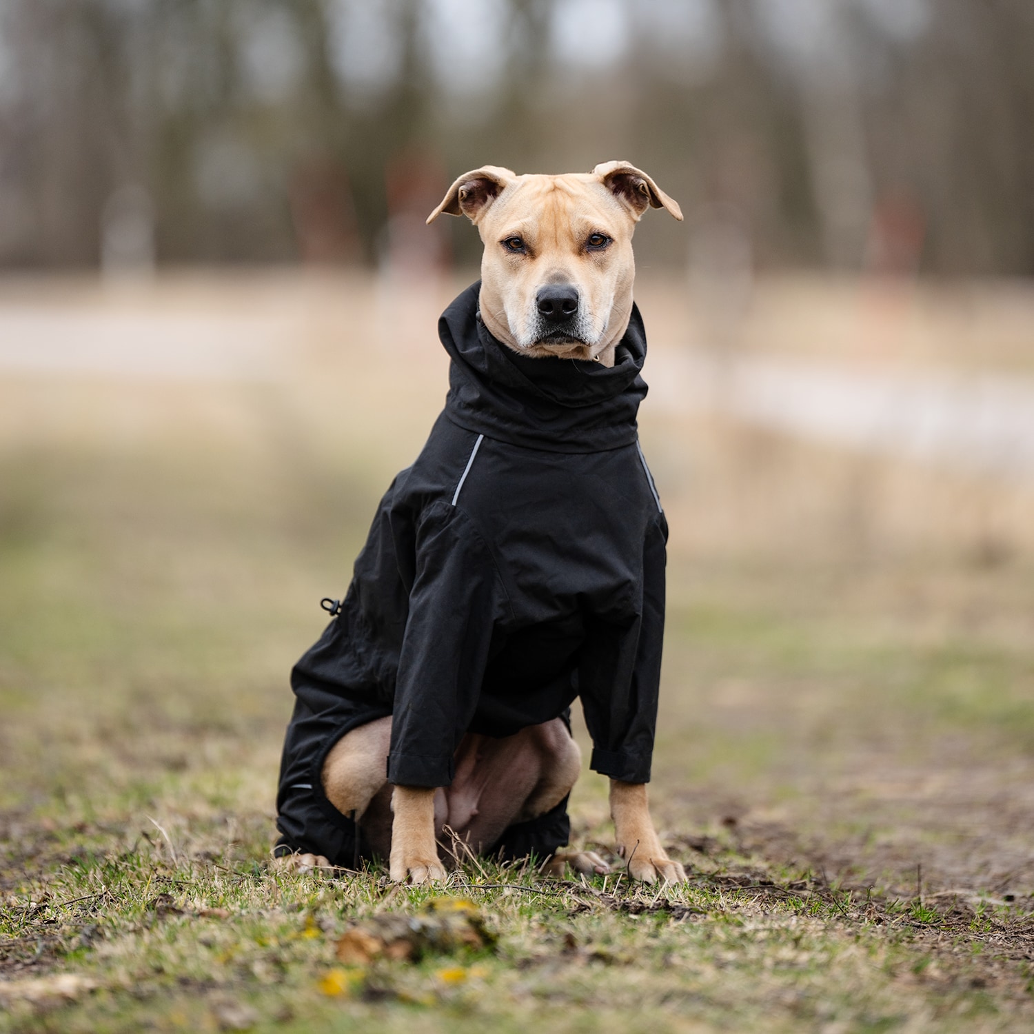Hundeoverall  Bellona traxx®