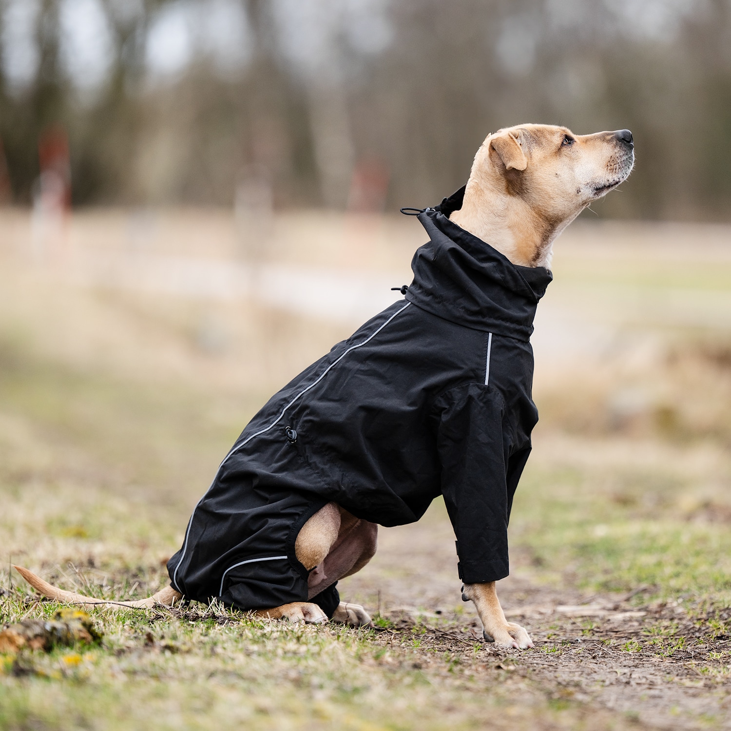 Hundeoverall  Bellona traxx®