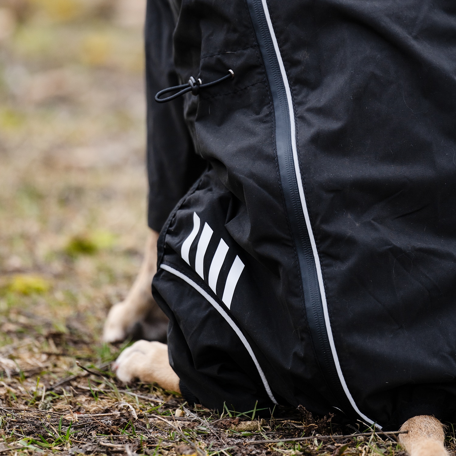 Hundeoverall  Bellona traxx®