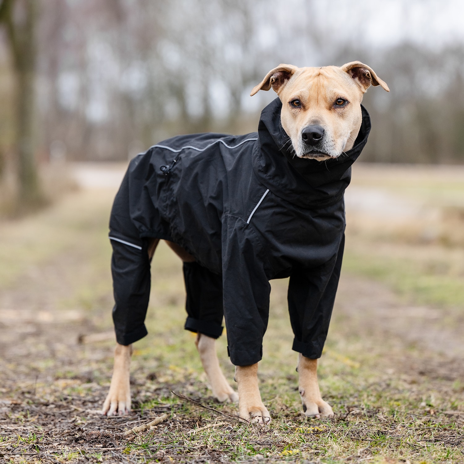 Hundeoverall  Bellona traxx®