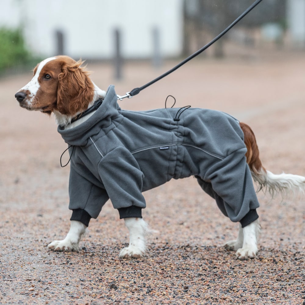 Hundeoverall Fleece Buzz Showmaster® Hööks