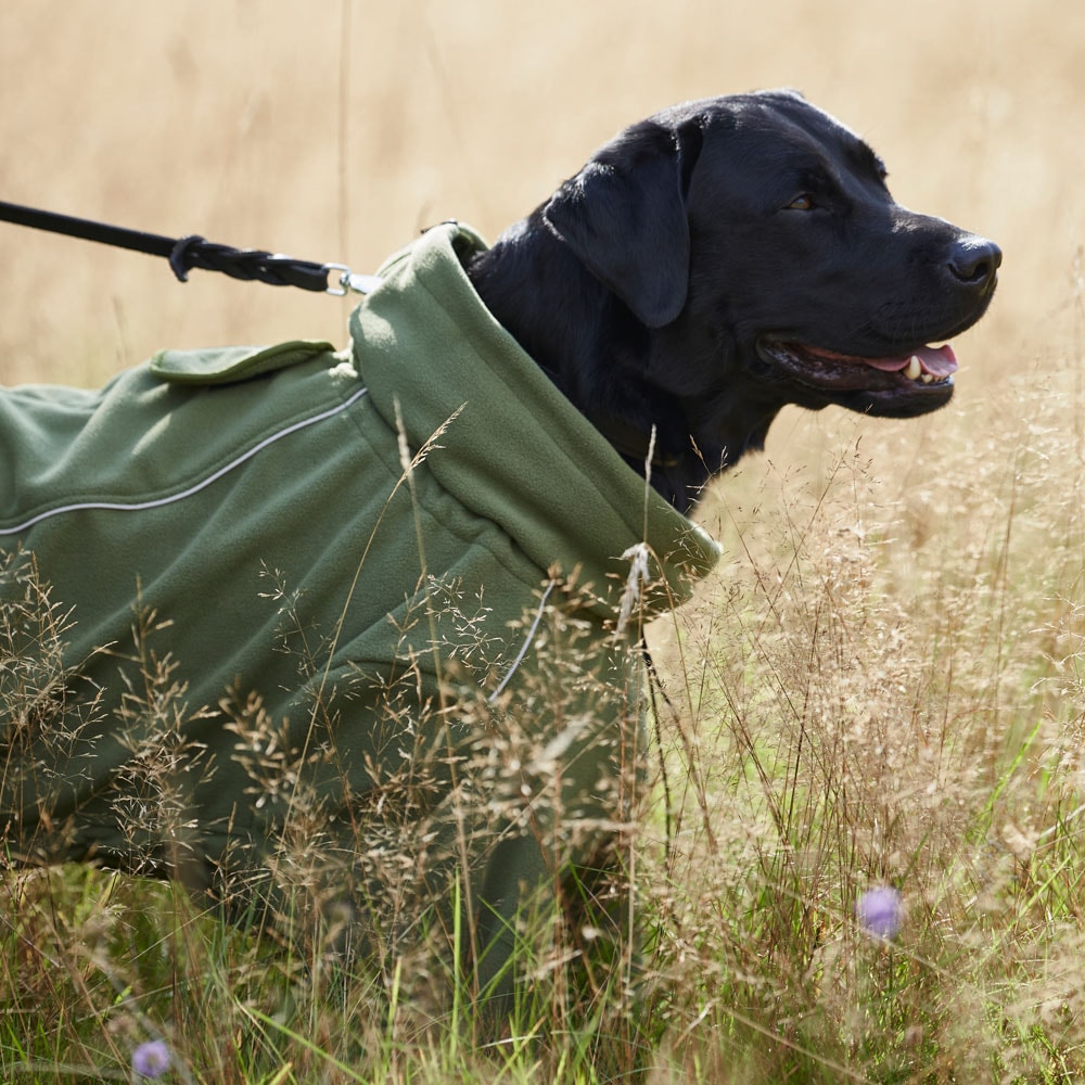 Hundeoverall  Evo Fleece traxx®