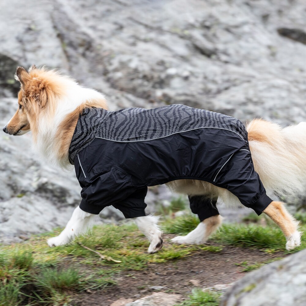Hundeoverall Activity Showmaster®