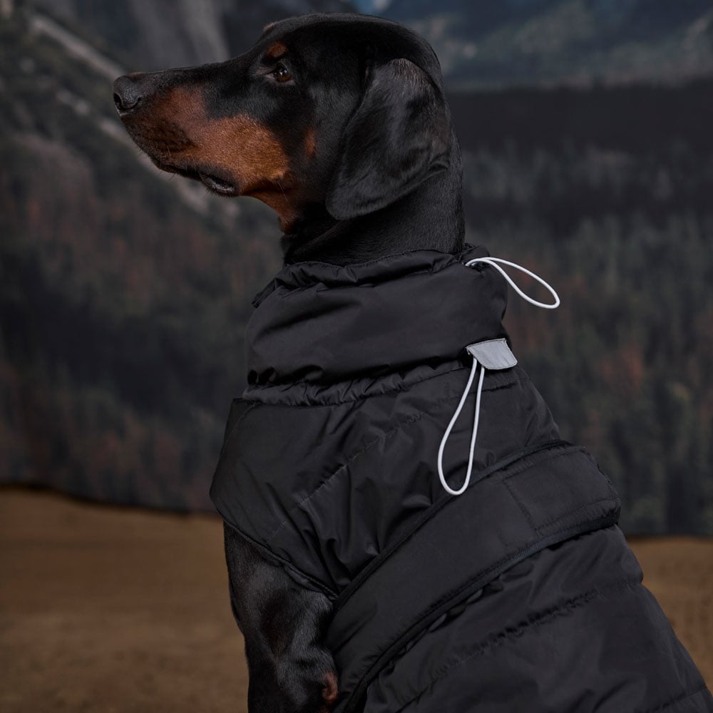 Hundedækken Warrior JH Collection®