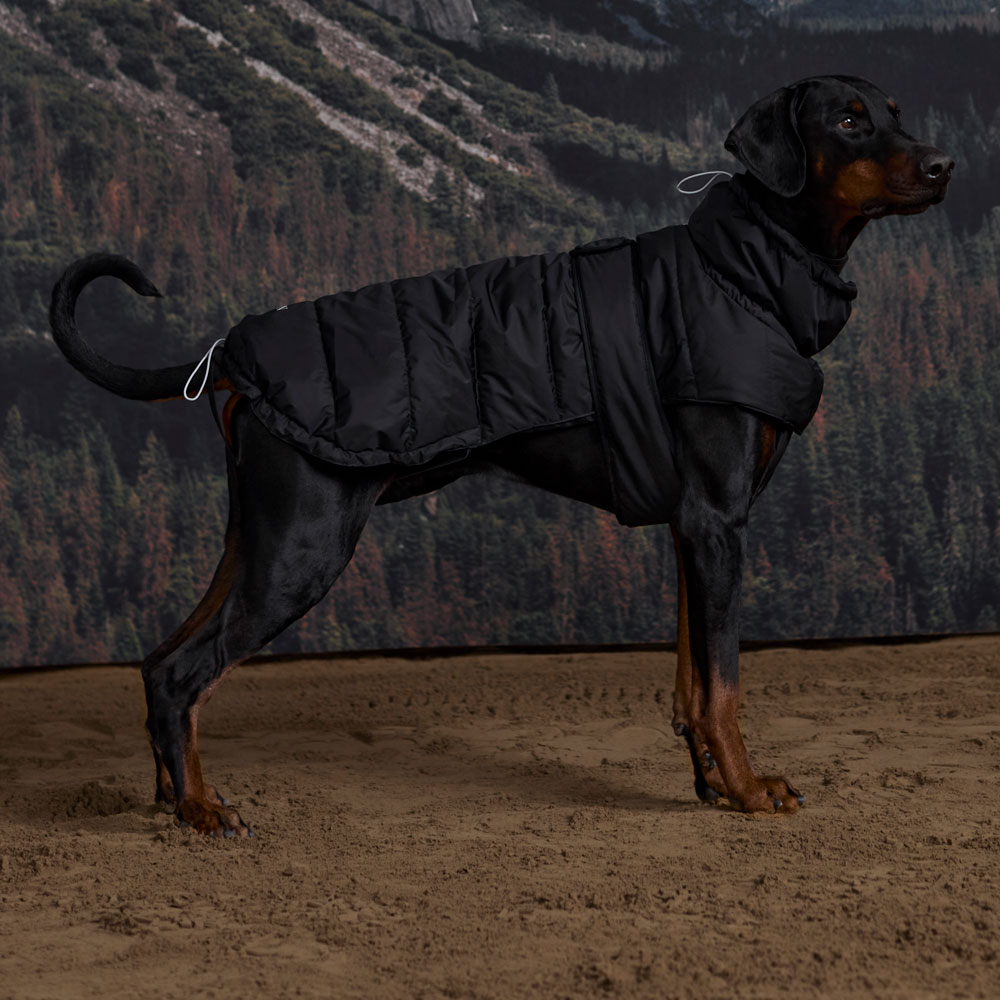 Hundedækken Warrior JH Collection®