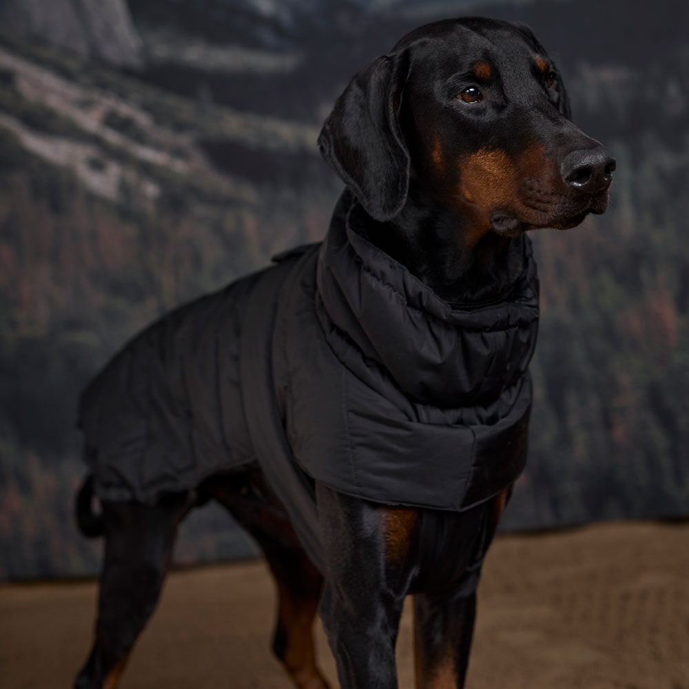 Hundedækken Warrior JH Collection®