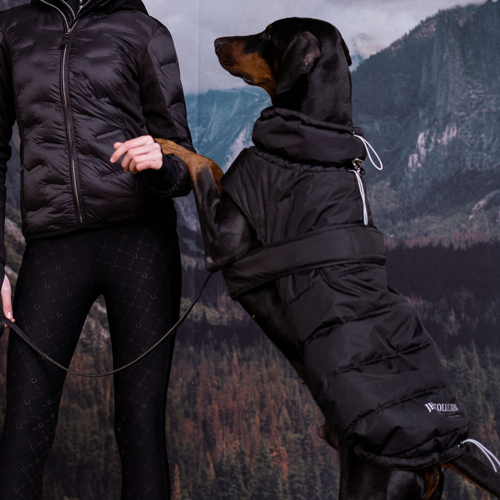 Hundedækken Warrior JH Collection®