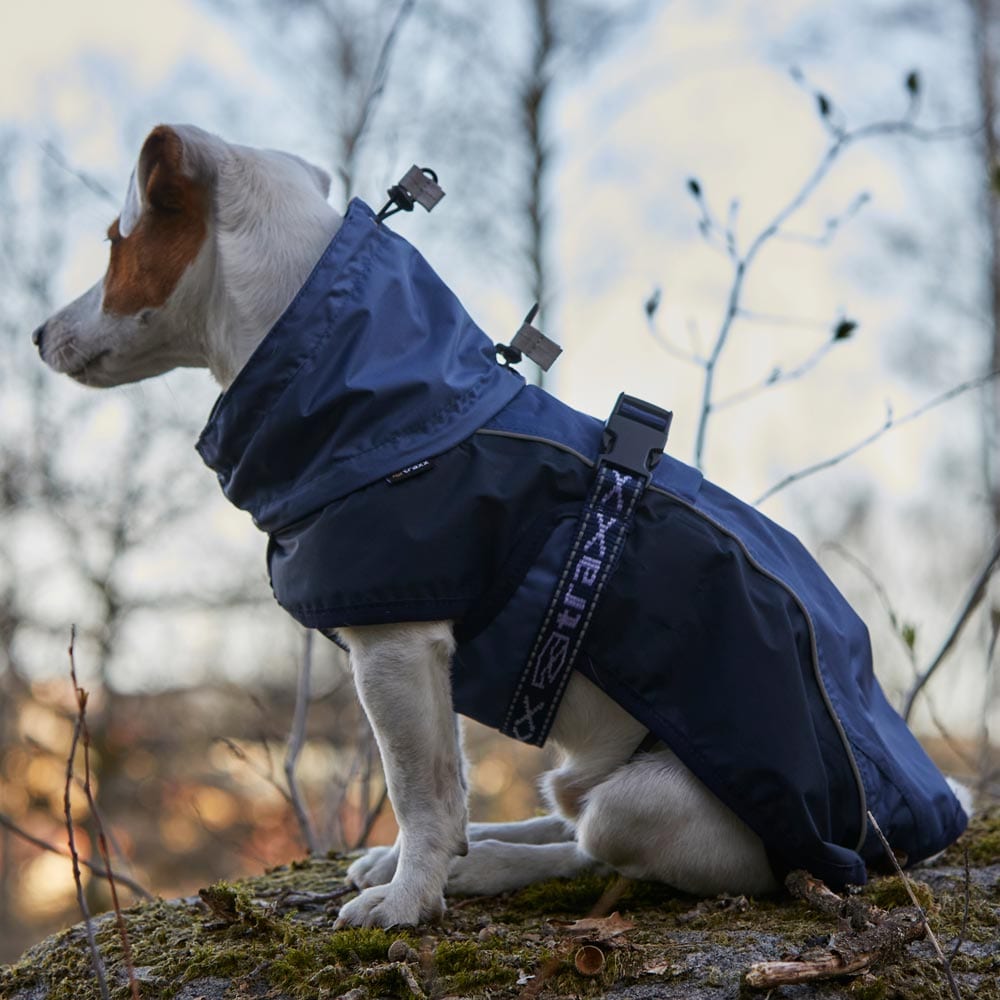 Hundedækken  Zorro Rain traxx®