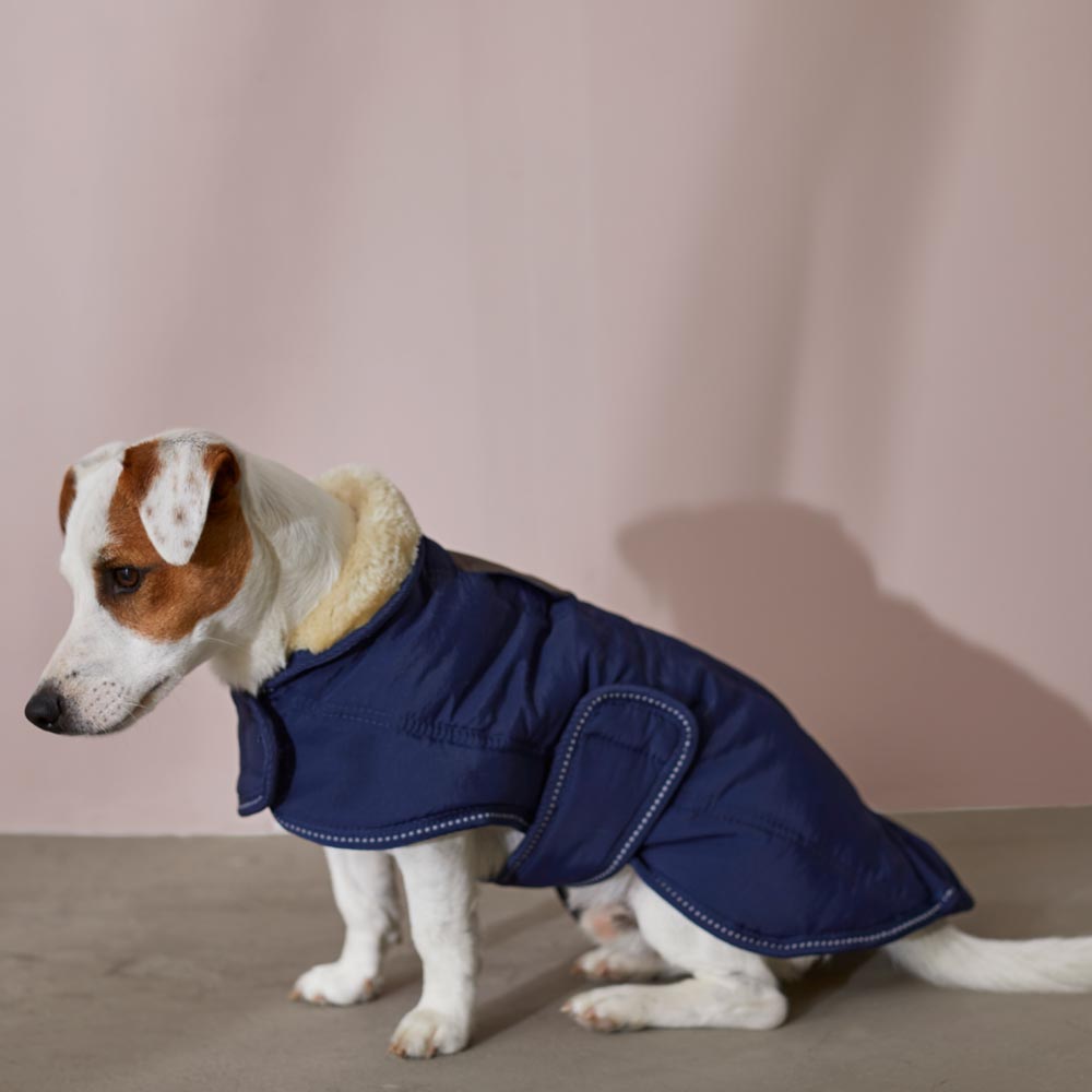 Hundedækken  Jeeves JH Collection®