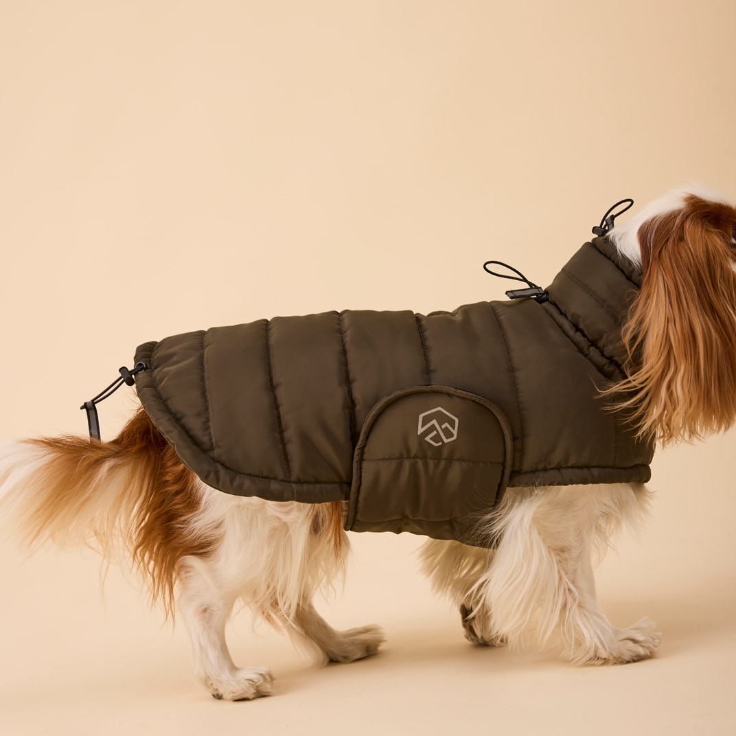 Hundedækken Loco Puffer traxx®