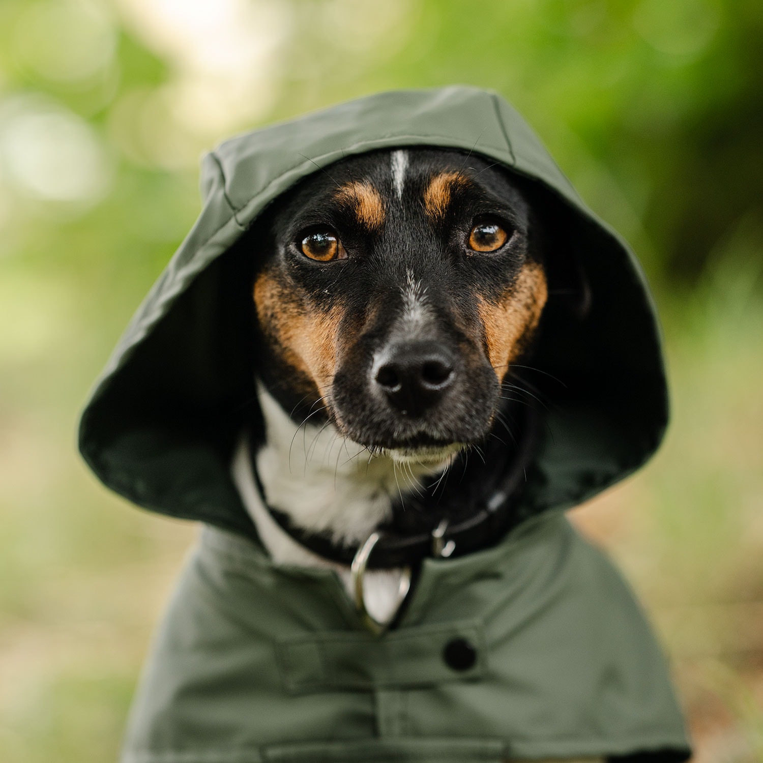 Regndækken Hunde Archy traxx®