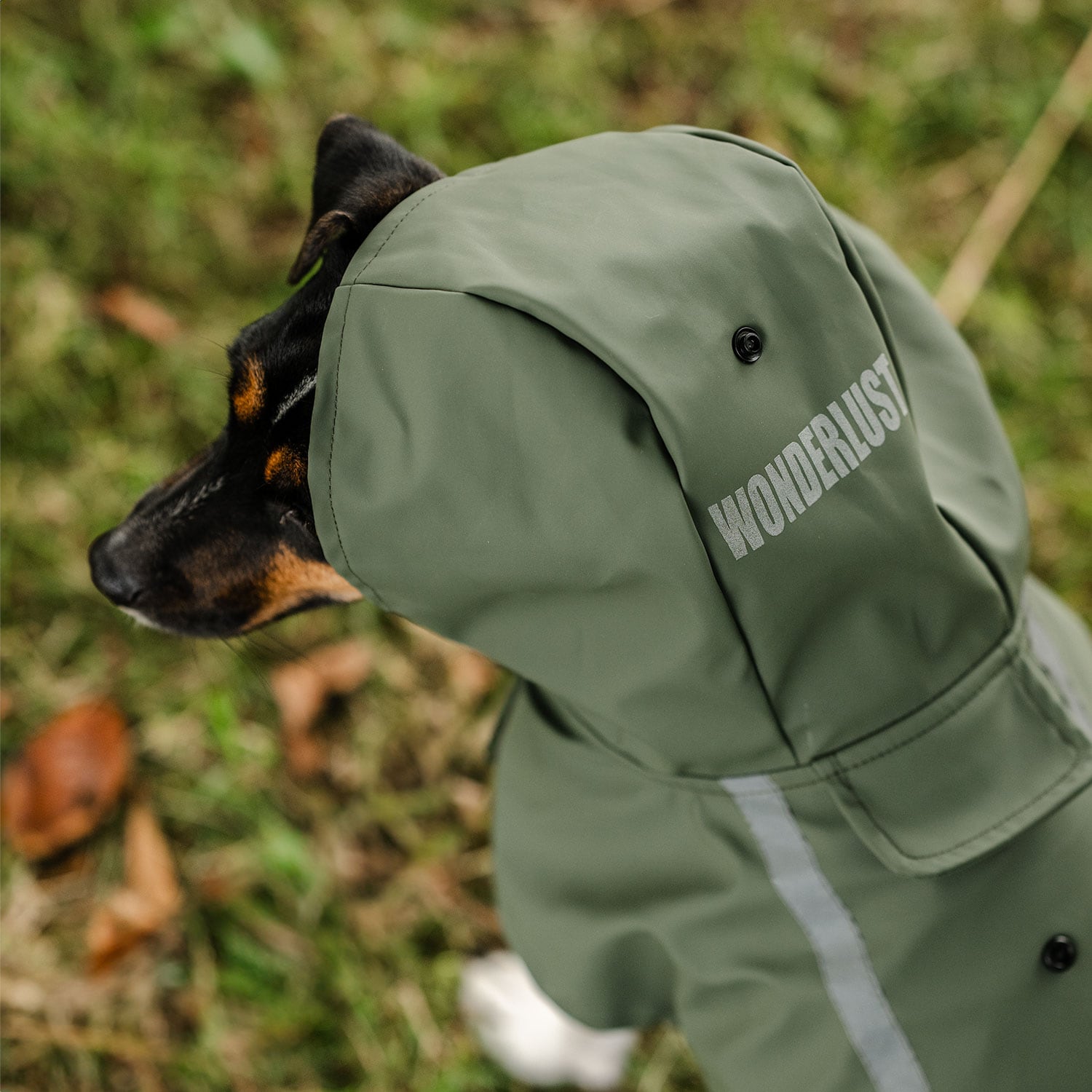 Regndækken Hunde Archy traxx®