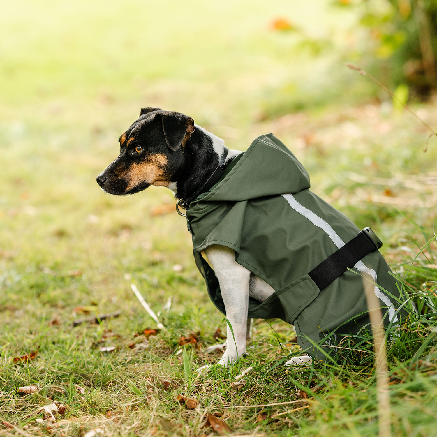 Regndækken Hunde Archy traxx®