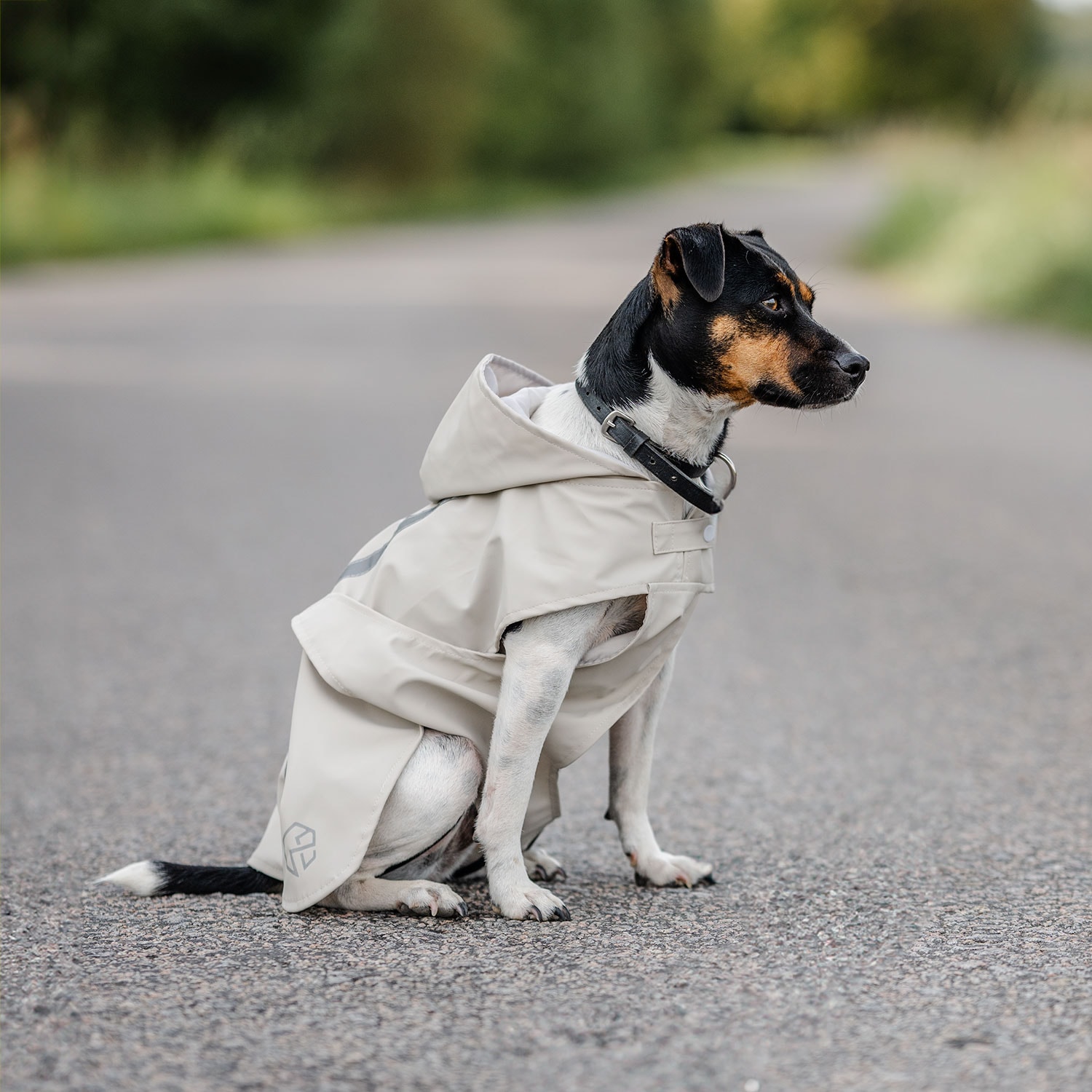 Regndækken Hunde Archy traxx®