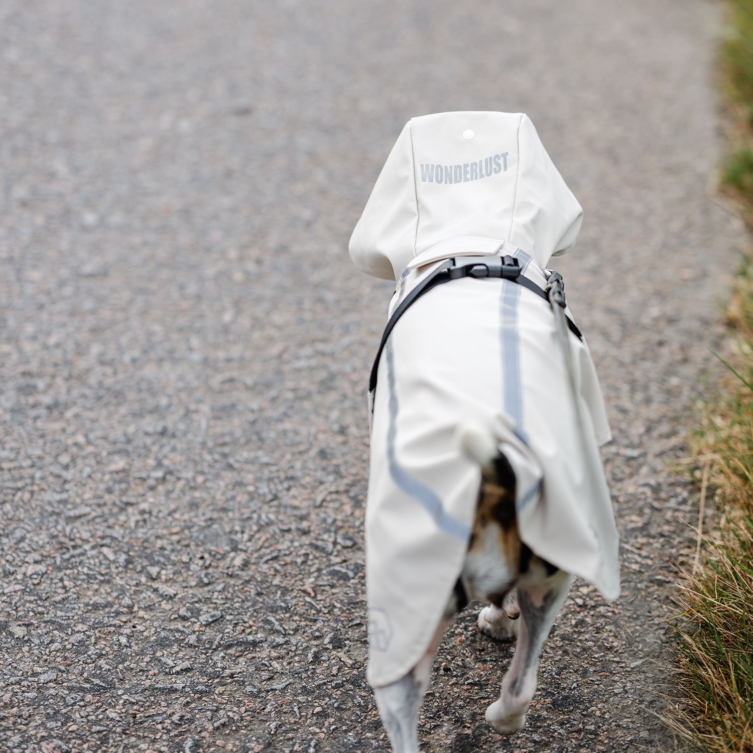 Regndækken Hunde Archy traxx®