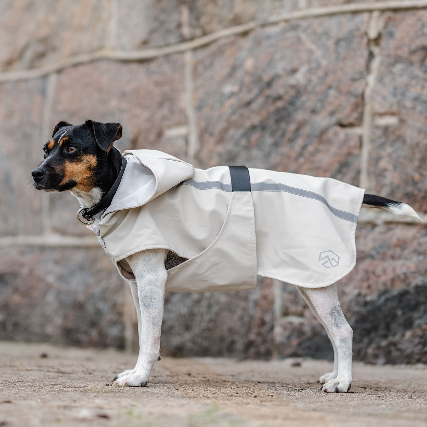 Regndækken Hunde Archy traxx®
