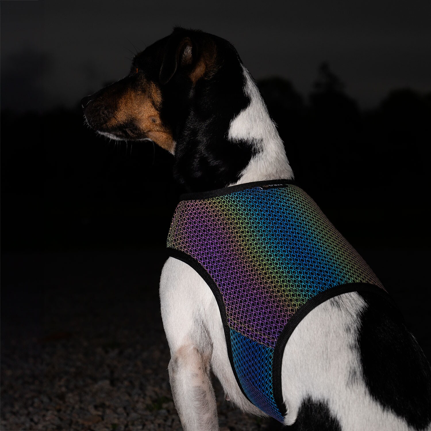 Refleksvest Hunde Farid traxx®