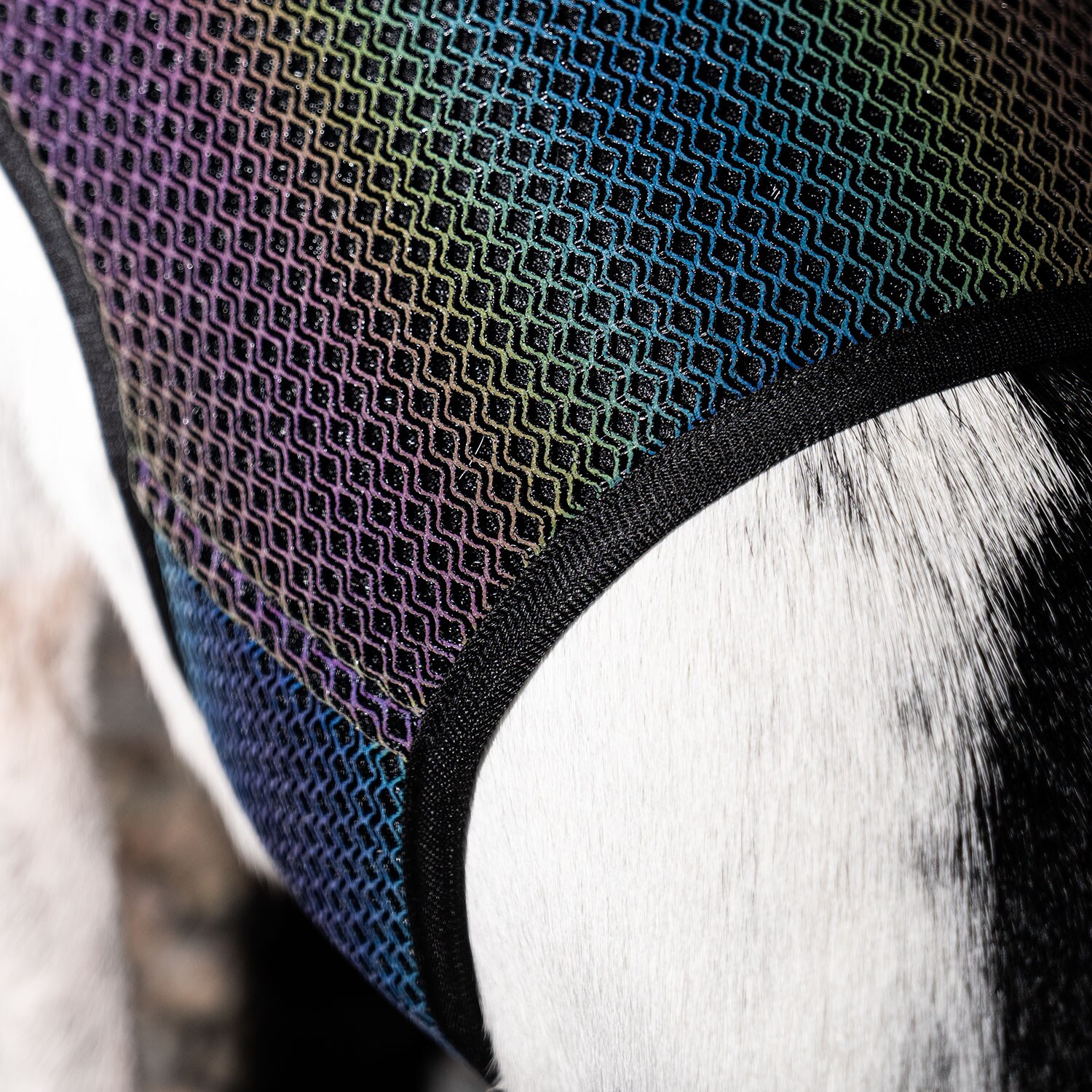 Refleksvest Hunde Farid traxx®