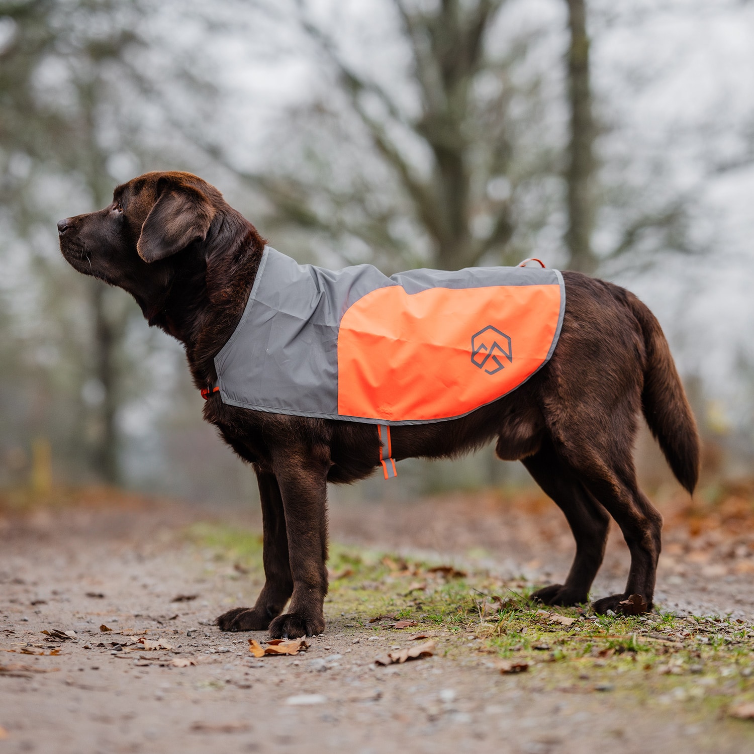 Refleksvest Hunde Ringo traxx®