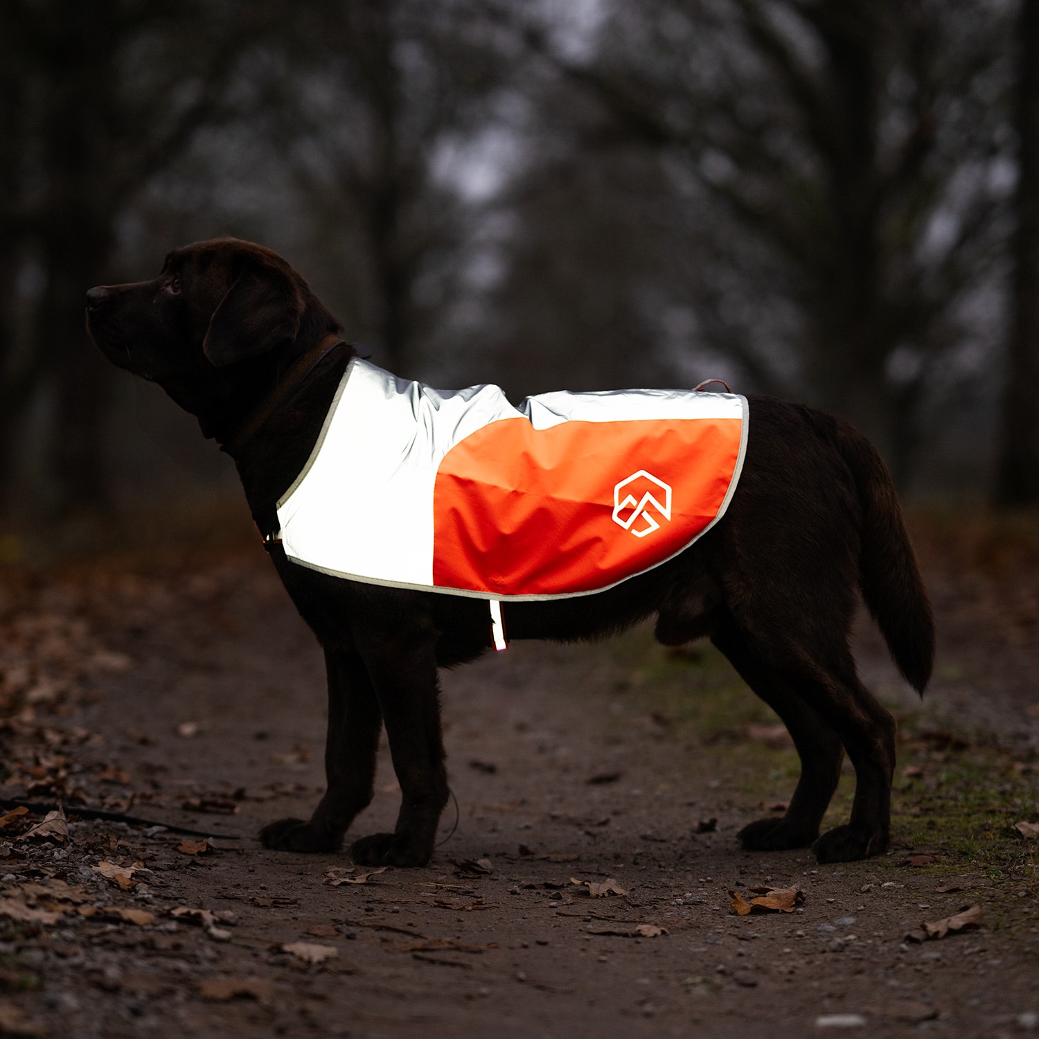 Refleksvest Hunde Ringo traxx®