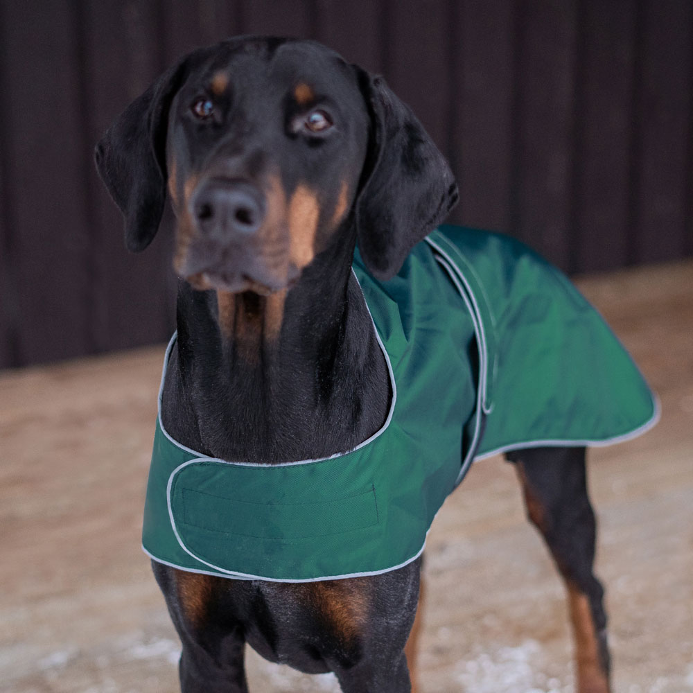 Regndækken Hector traxx®