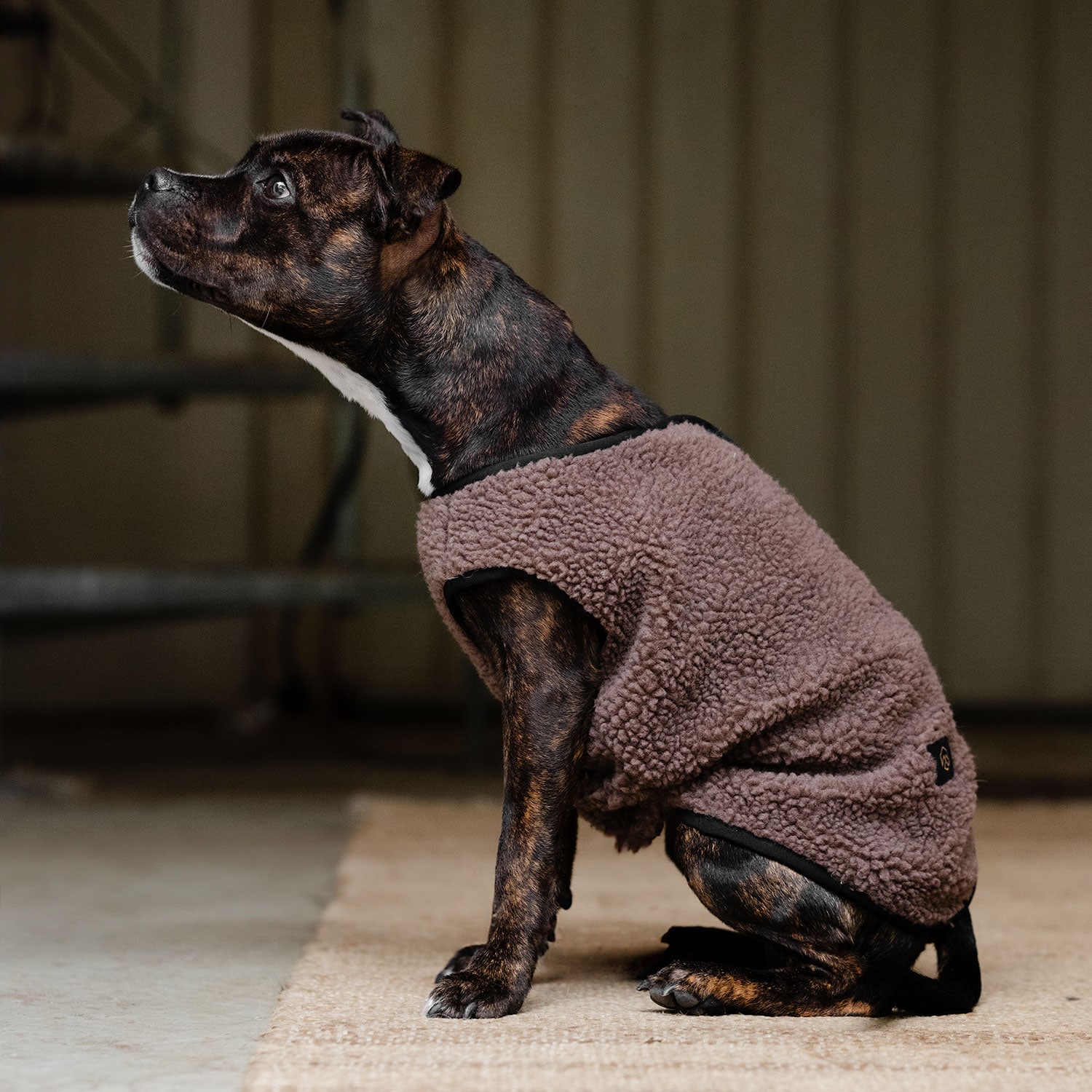 Hundedækken Fleece Sinclair traxx®
