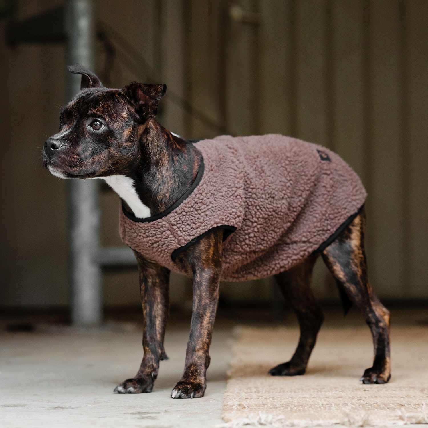 Hundedækken Fleece Sinclair traxx®