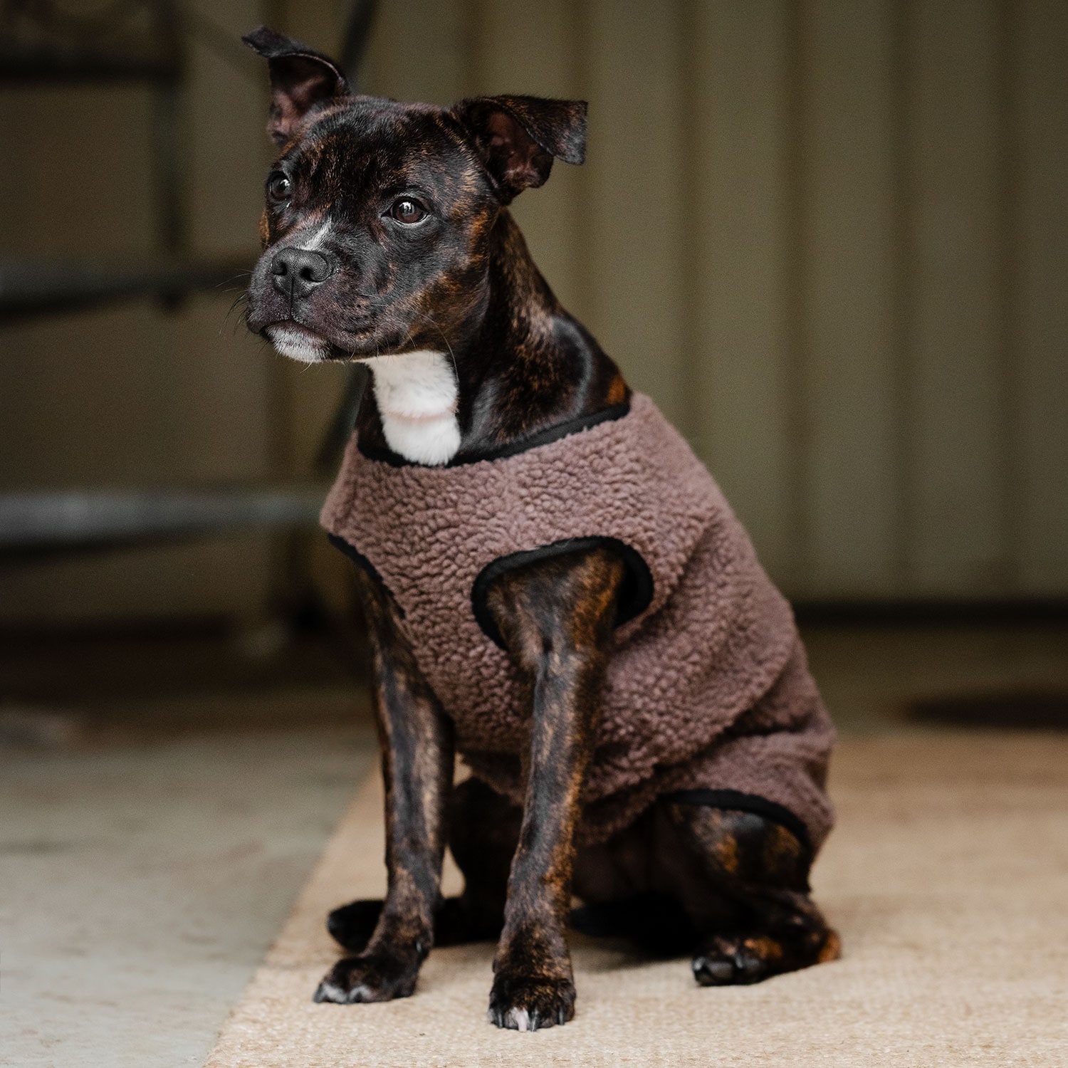 Hundedækken Fleece Sinclair traxx®